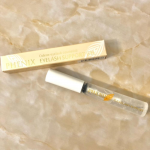 本年もよろしくお願いいたします!